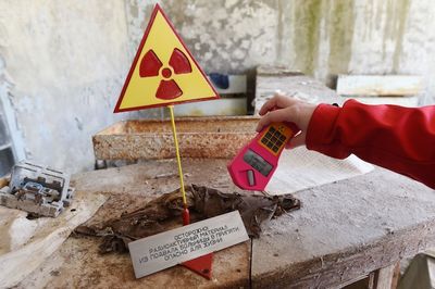 Чернобыль превратился в уникальную радиоэкологическую лабораторию