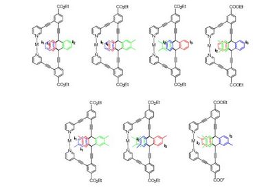 Химики синтезировали молекулярные турникеты