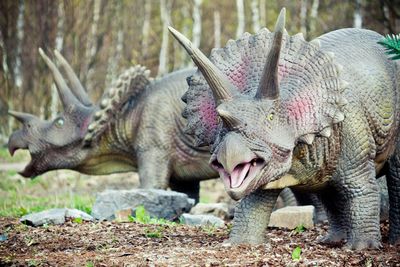 Травоядные динозавры ели мясо